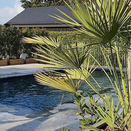 Pine Cottage- 5 Minutes Francorchamps - Charme -Piscine-Calme-Jardin Sart  Екстер'єр фото