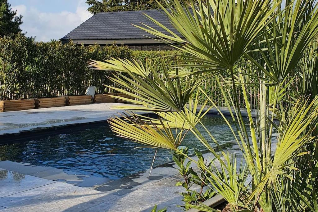 Pine Cottage- 5 Minutes Francorchamps - Charme -Piscine-Calme-Jardin Sart  Екстер'єр фото