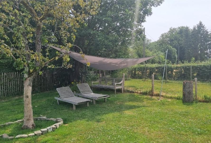 Pine Cottage- 5 Minutes Francorchamps - Charme -Piscine-Calme-Jardin Sart  Екстер'єр фото
